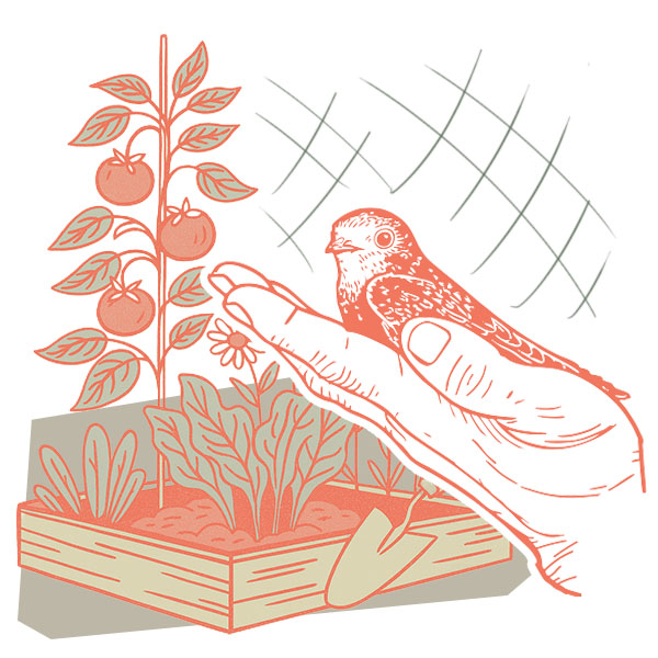 Flora & Fauna